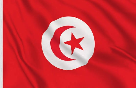 علم الجمهورية التونسية